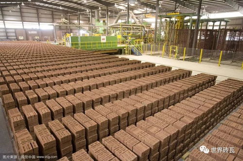 环境治理需精准施策，告别“一刀切”方能共担责任