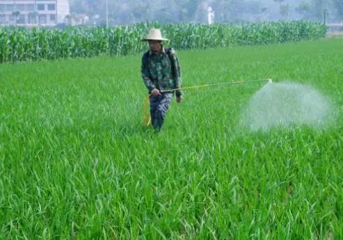 提前实现化肥农药零增长目标 迈向土壤环境污染防治服务新阶段