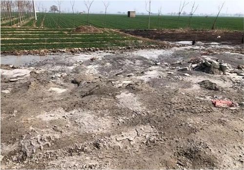 鹤壁浚县善堂镇商砼站污染环境之困 谁来监管与土壤防治服务如何破局