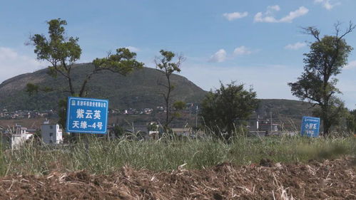 省生态环境厅深入个旧市调研 力促土壤污染防治与农村污水治理工作再上新台阶